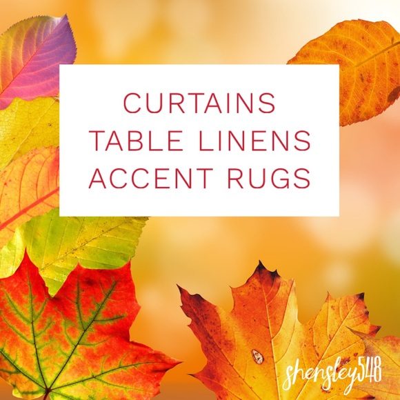 Accent Rugs, Table Linens & Curtains - Picture 2 of 6
